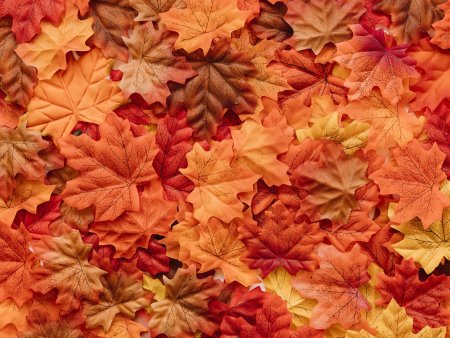 Бесшовная текстура осенних листьев (36 фото)