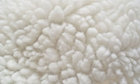 Шерсть необработанная