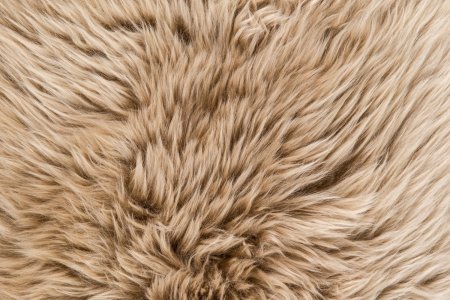 Бесшовная текстура овечьей шерсти (32 фото)