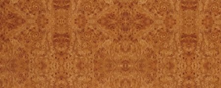 Шпон корень дорадо