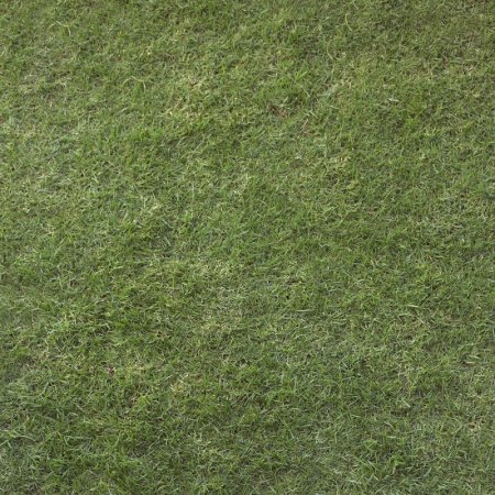 Grass 190х110х55