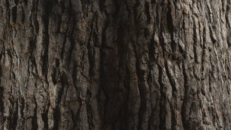Pine Bark PBR