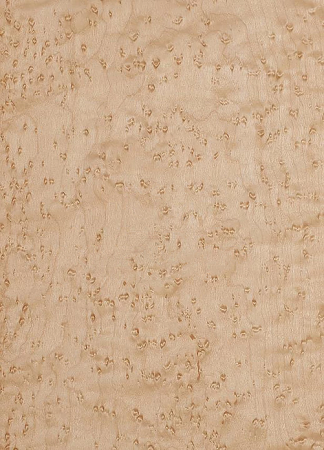 Птичий глаз клен шпон 05.088