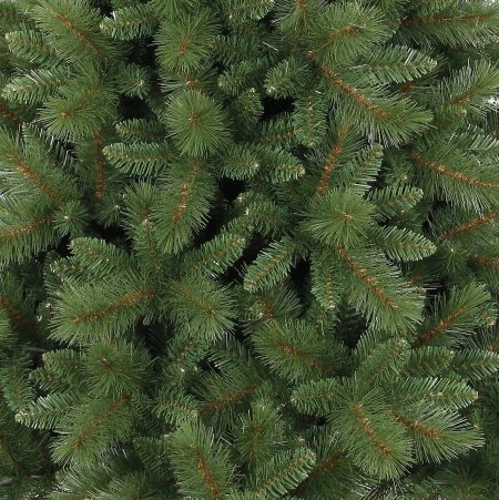 Ель Вальдбрун