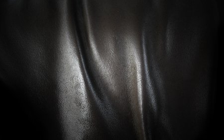Черная глянцевая кожа
