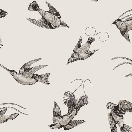 Обои Cole & son птицы