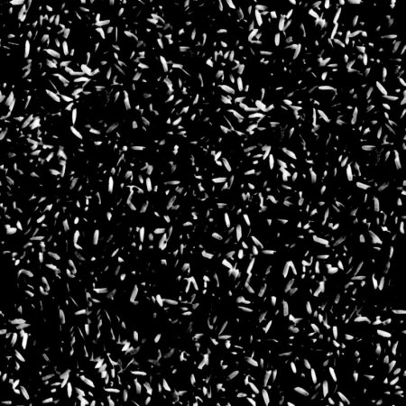 Riso texture PNG