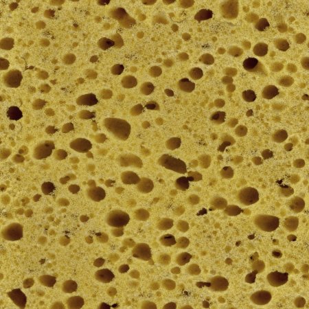 Текстура губки