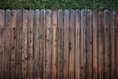 Старый деревянный забор