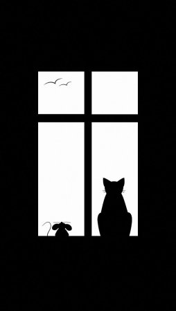 Кошка на окошке силуэт