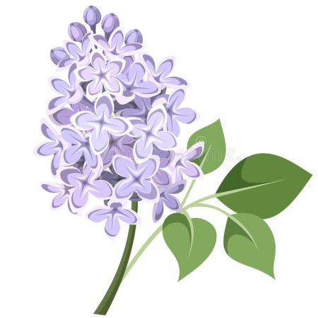 Сирень стилизация