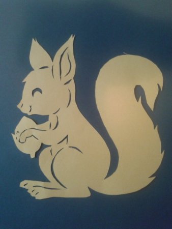 Белка на окно