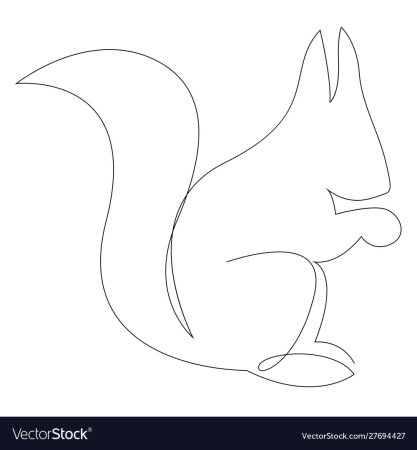 Белка рисунок эскиз
