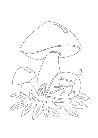 Мухомор раскраска для детей