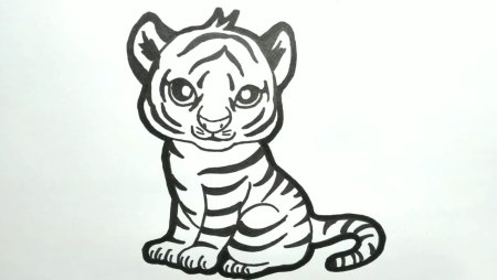 Трафареты тигра из бумаги на окно (49 фото)
