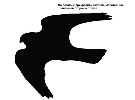 Наклейка силуэт хищной птицы