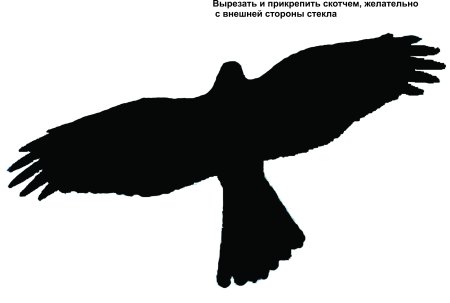 Силуэты хищных птиц в полете