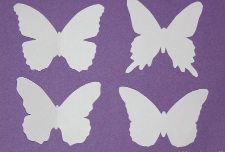 Трафарет красивых бабочек на стену (48 фото)