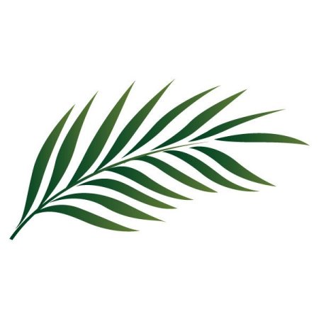 Пальмовая ветвь силуэт