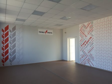 Центр точка роста проект