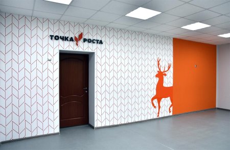 Точка роста