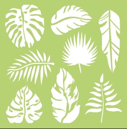 Monstera Leaf контур