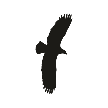 Трафареты Орлов на стену