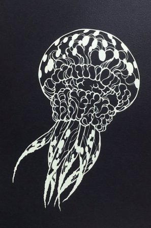 Ракушка трафарет