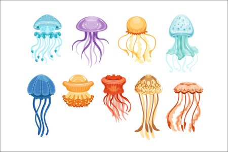Шаблоны морских обитателей