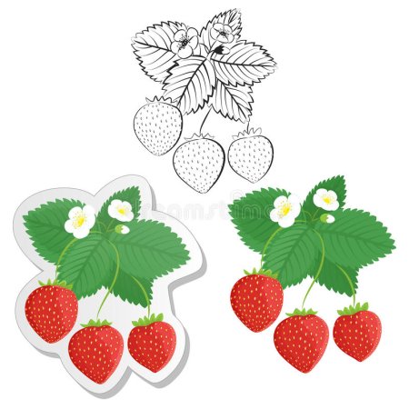 Клубника Графика