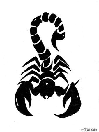 Скорпион трайбл