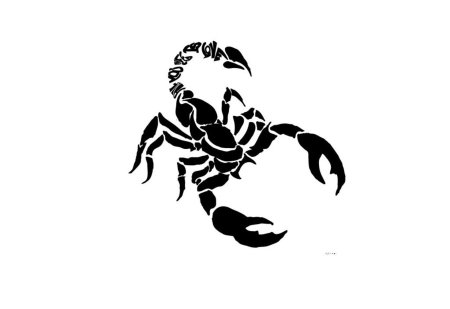 Трафарет для стен Скорпион