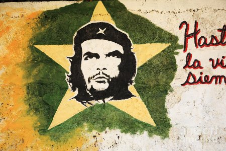 Портрет че Гевара на диване