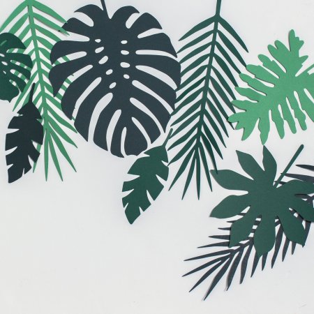 Monstera Leaf контур