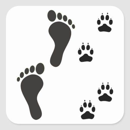 Трафарет кошки