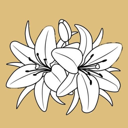 Цветы. Раскраска