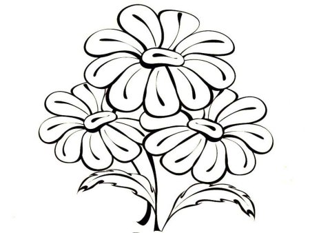 Цветы. Раскраска
