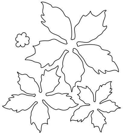 Трафарет цветка пуансетии