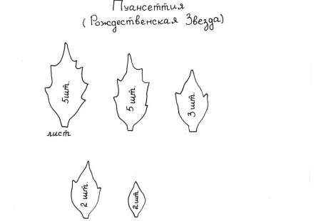 Выкройка пуансеттии из фоамирана
