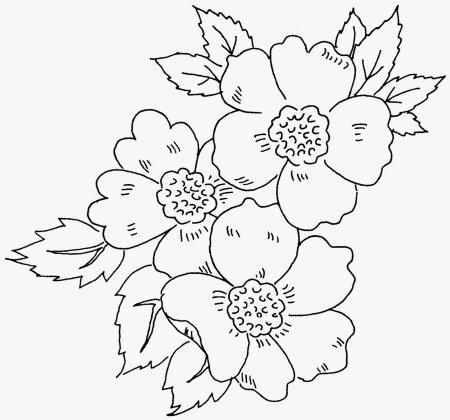 Контуры цветов для вышивки