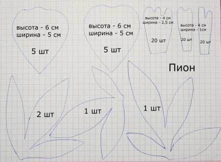 Выкройка лепестков пиона