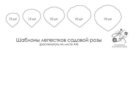 Шаблон лепестков розы