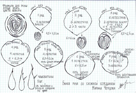 Ранункулюс выкройка цветка