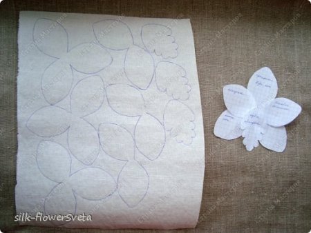 Трафарет для цветов из вафельной бумаги