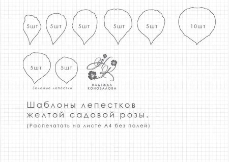 Выкройка лепестка розы
