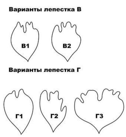 Выкройка лепестков пиона
