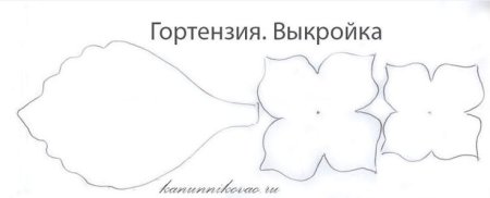 Шаблон цветов гортензии