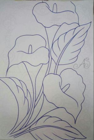 Каллы рисунок карандашом