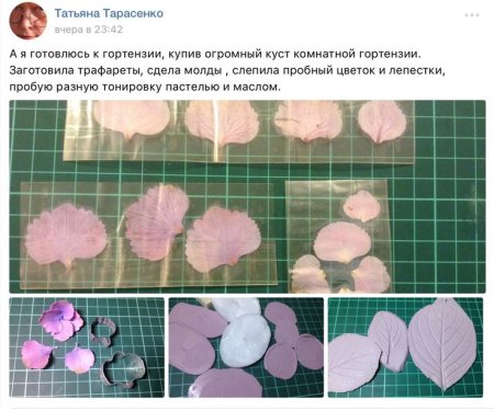 Трафарет цветка гортензии
