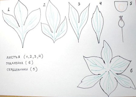 Чашелистик пиона из фоамирана